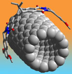 Clamp On Nanotube